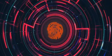 Digital Forensics & Executive Investigations