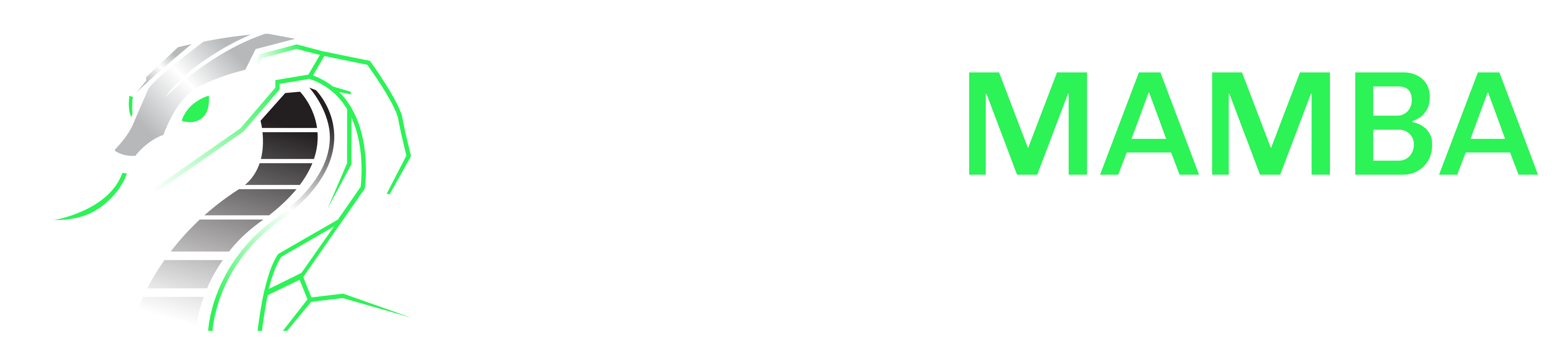 Black Mamba Academy